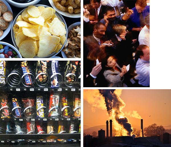 collective-life-capital-1
